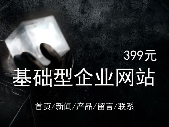 聊城市网站建设网站设计最低价399元 岛内建站dnnic.cn